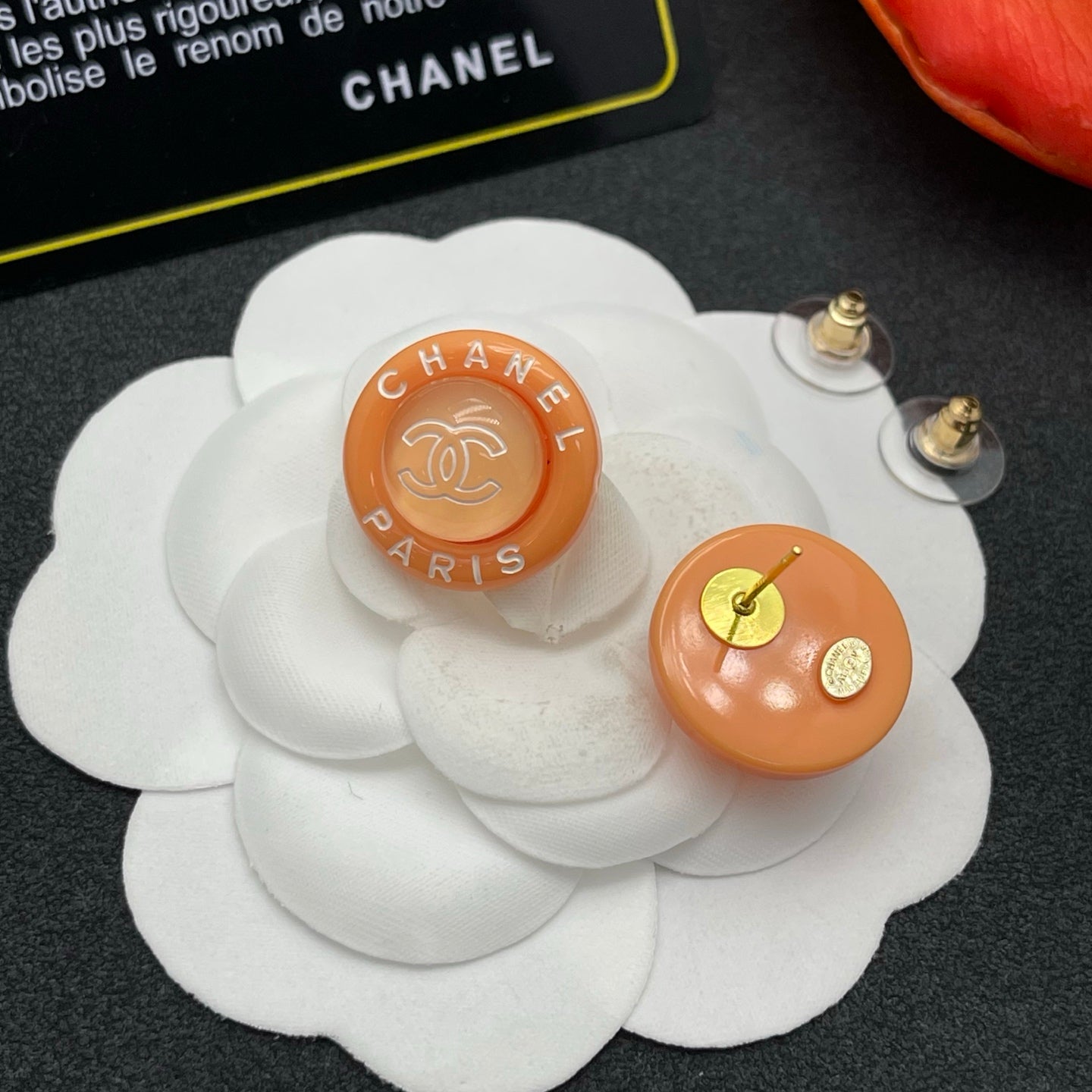 55ZC29E Popular Earrings