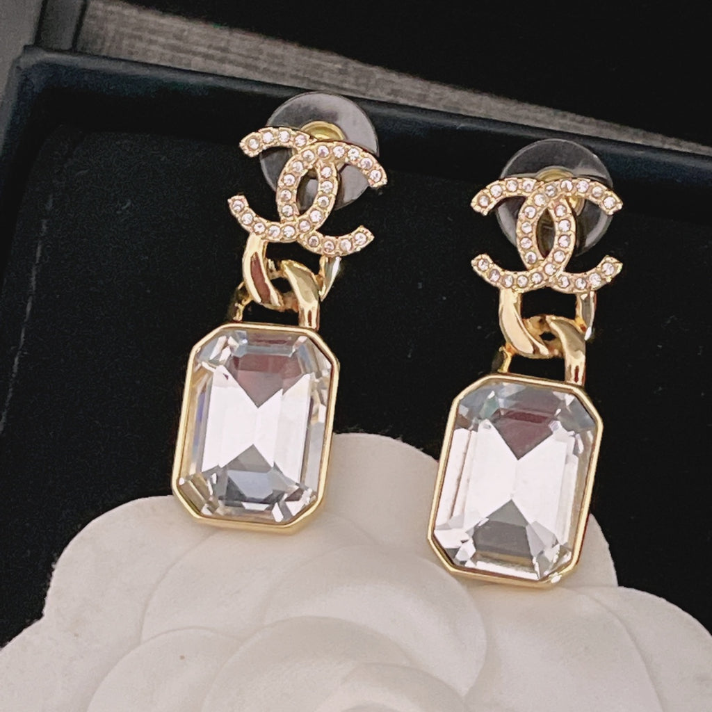 14C341E Popular  Earrings