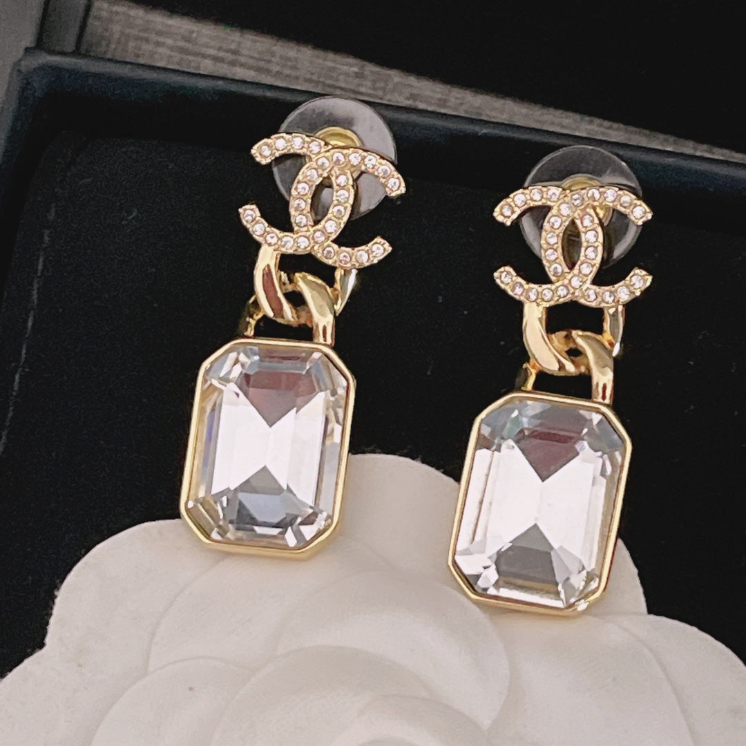 14C341E Popular  Earrings