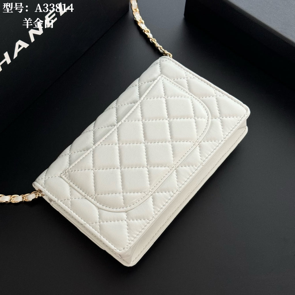 B1X66C17 Popular leather bag