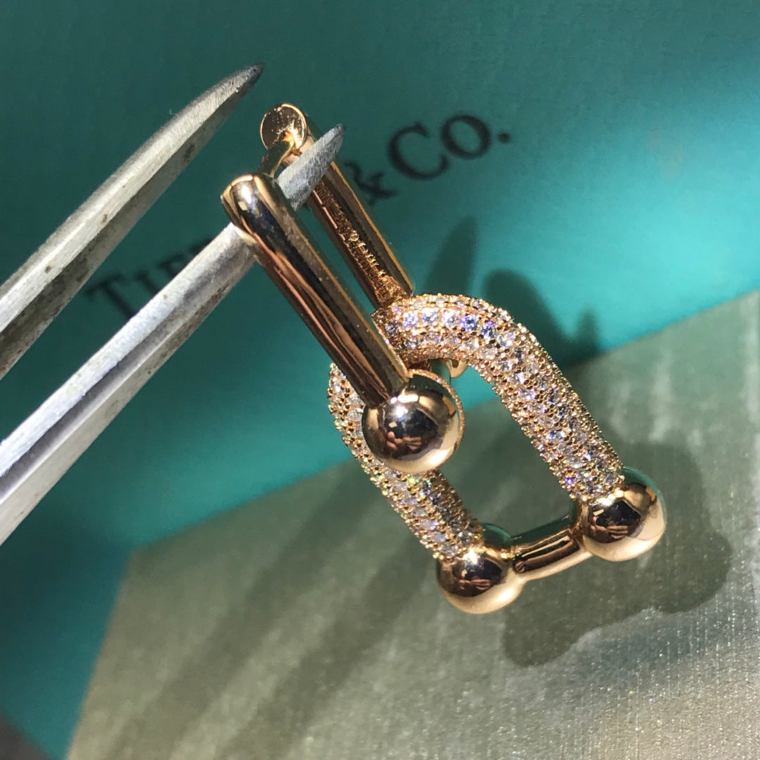 14T431E Popular  Earrings