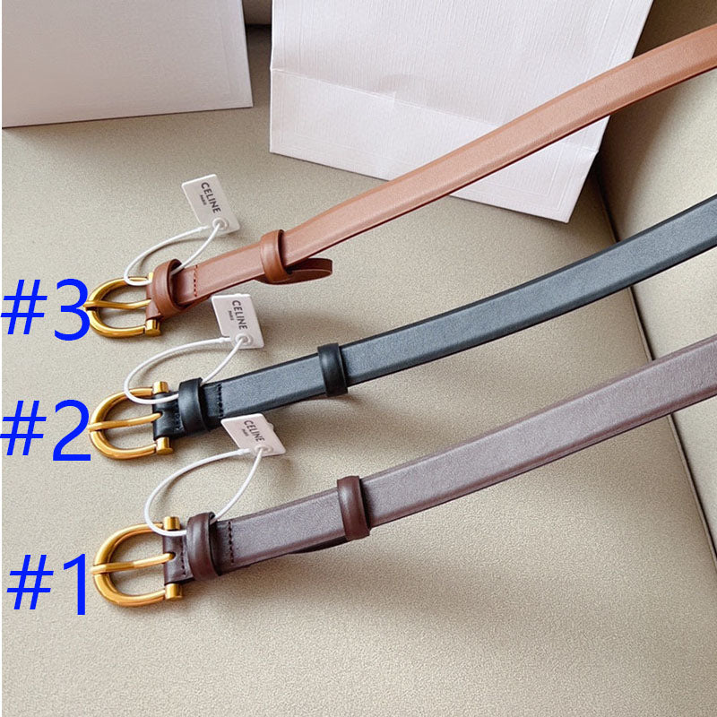 1WN178P Popular High quality belt With full package