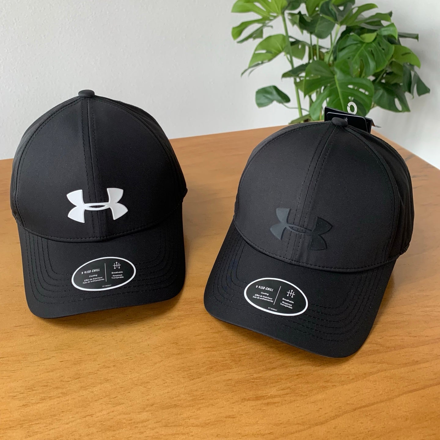 145ZA538M Popular  hats
