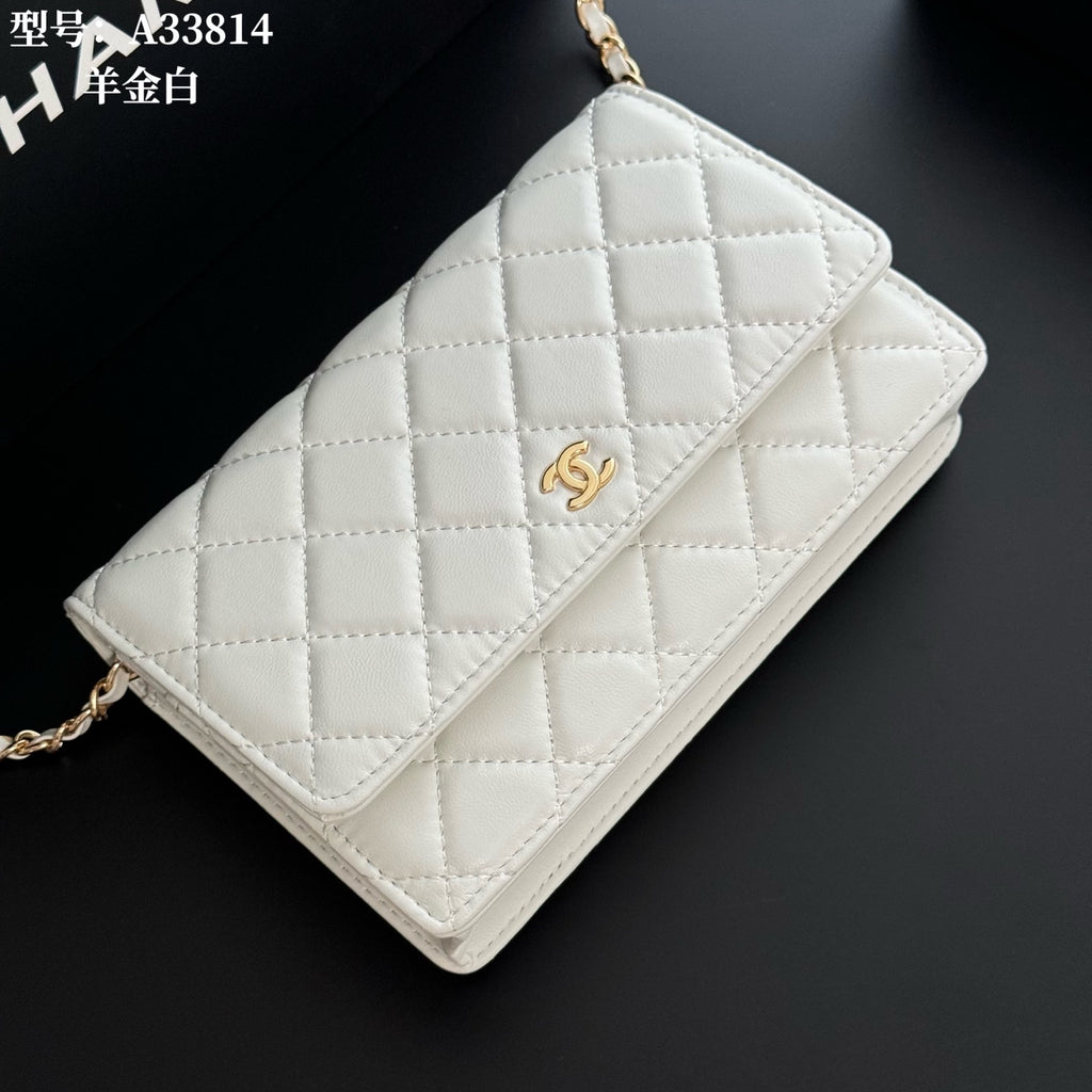 B1X66C17 Popular leather bag