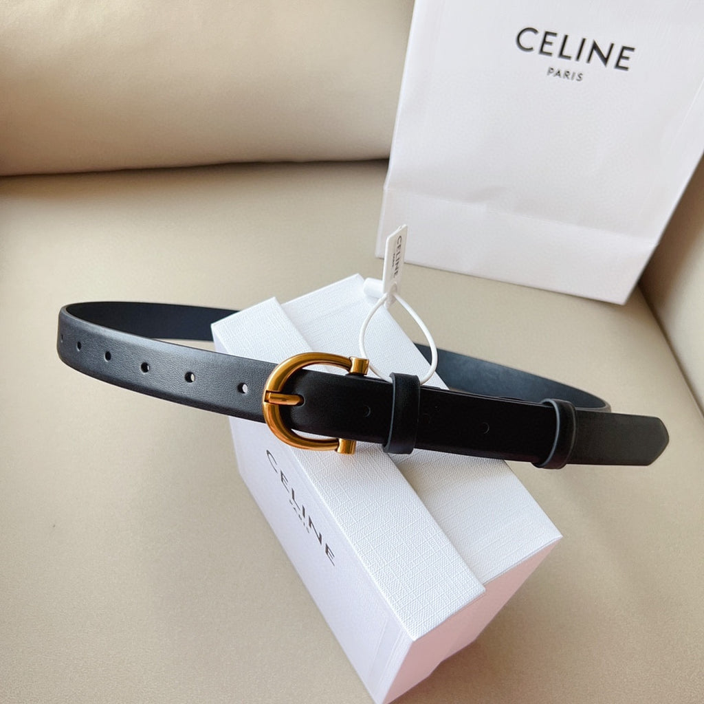 1WN178P Popular High quality belt With full package