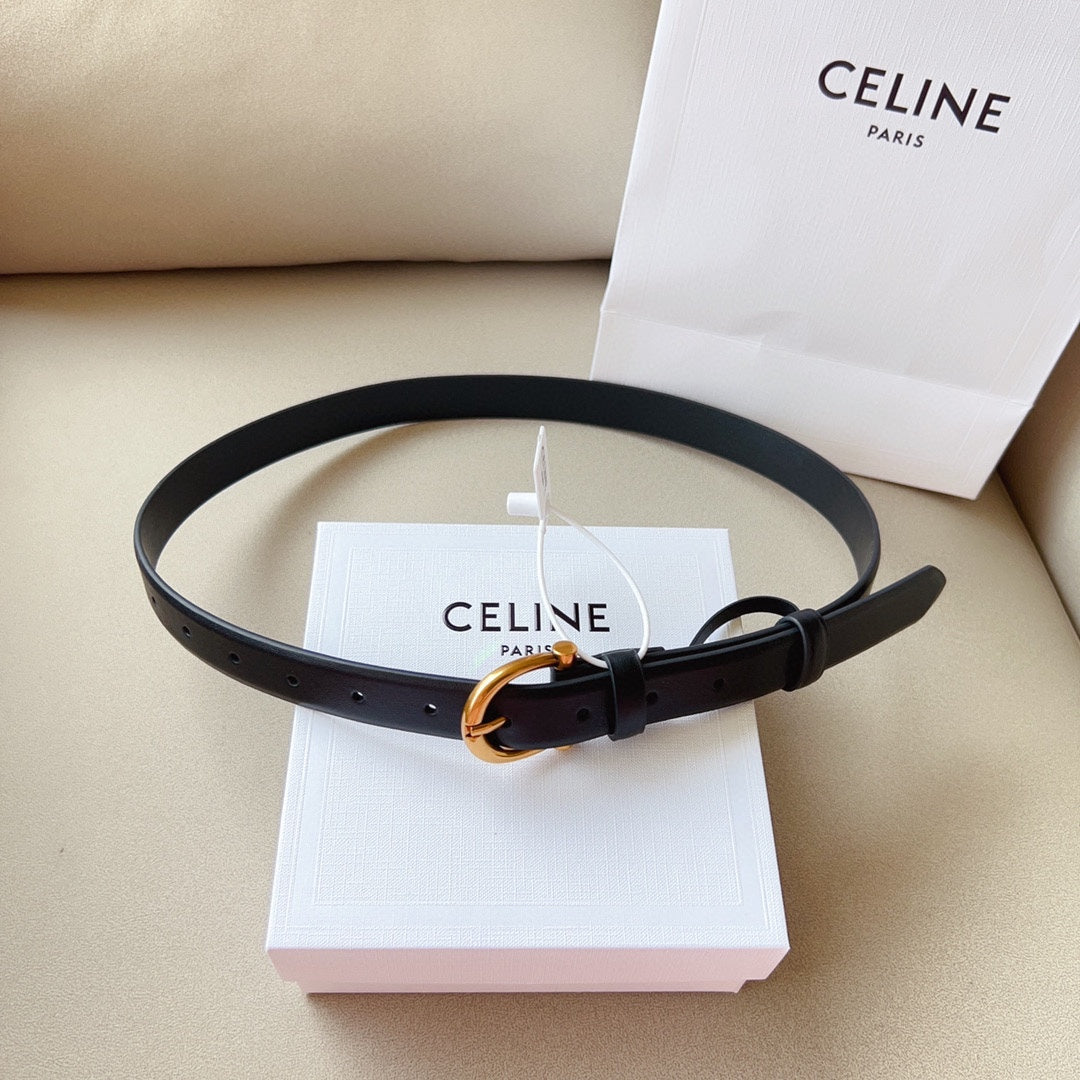 1WN178P Popular High quality belt With full package