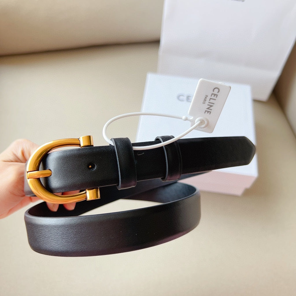 1WN178P Popular High quality belt With full package
