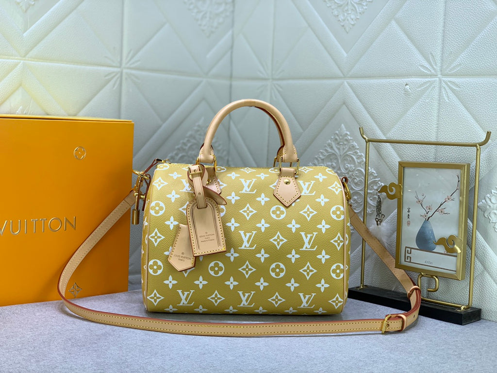 2XE268B Popular  leather bag 