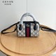 1WB59B Popular  leather bag