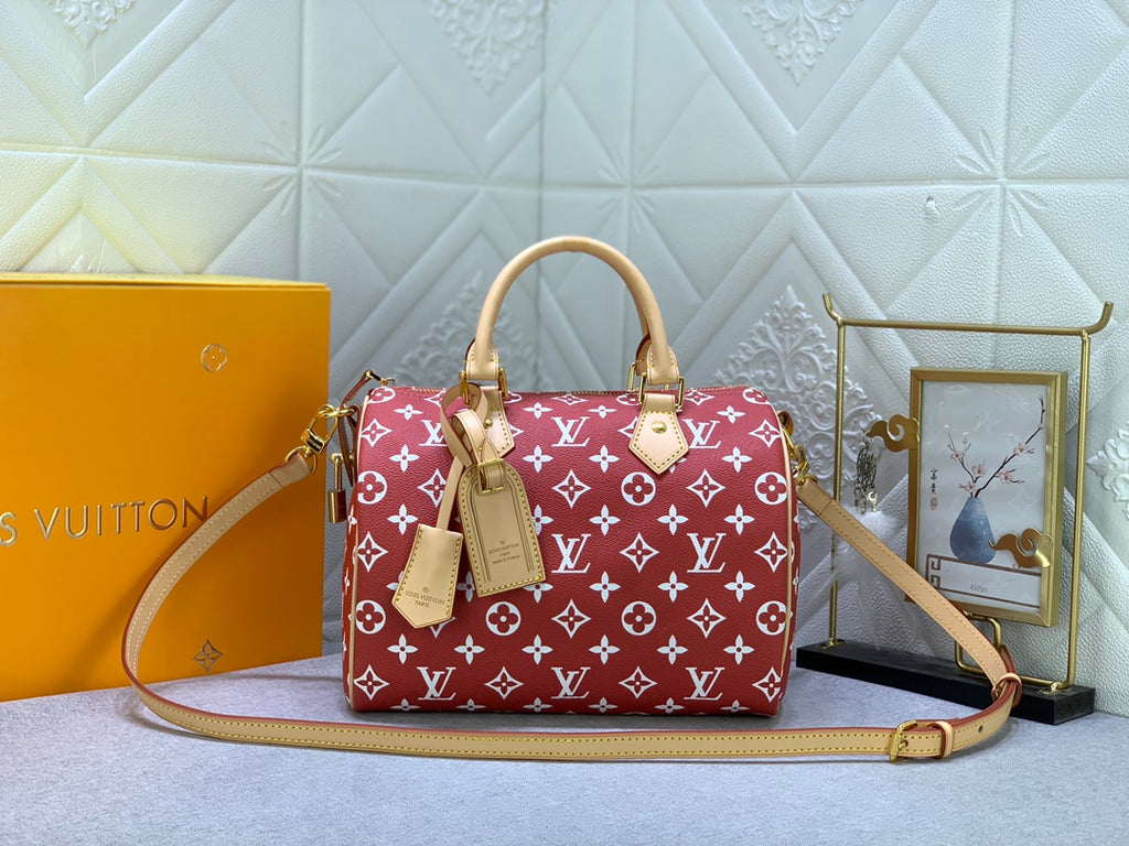 2XE268B Popular  leather bag 