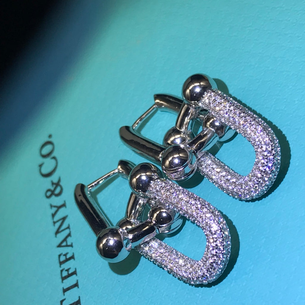 14T431E Popular  Earrings