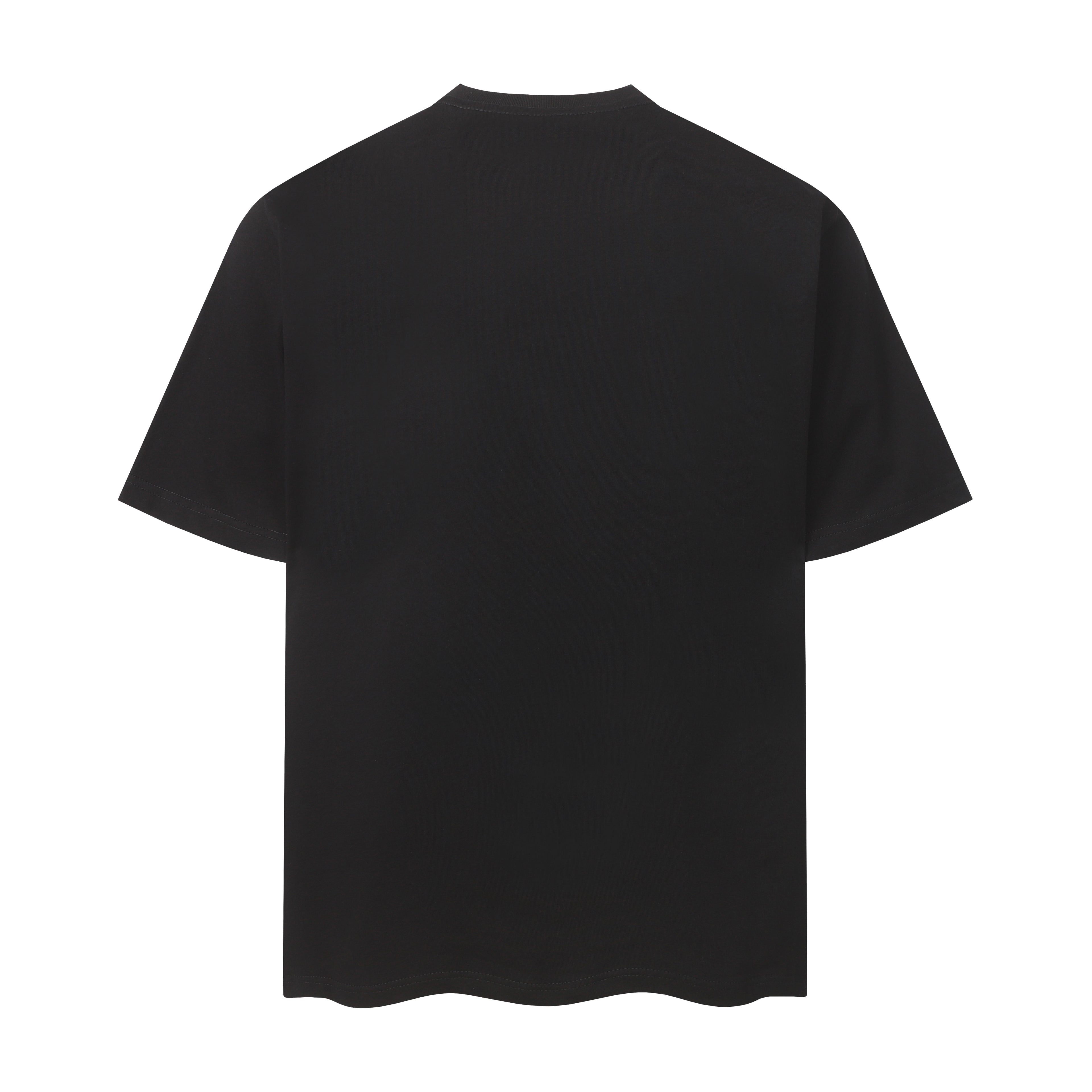36PA46U Popular T-shirts