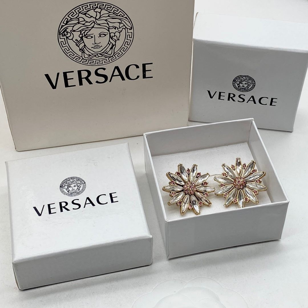 14V538E Popular  Earrings