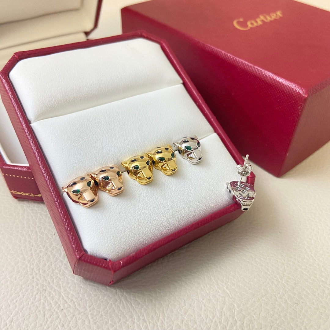 556NK26E Popular Earrings