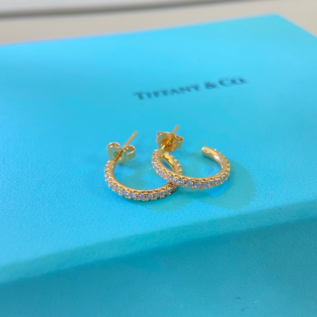 55ZT10E Popular Earrings