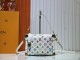 1WE101B Popular leather bag