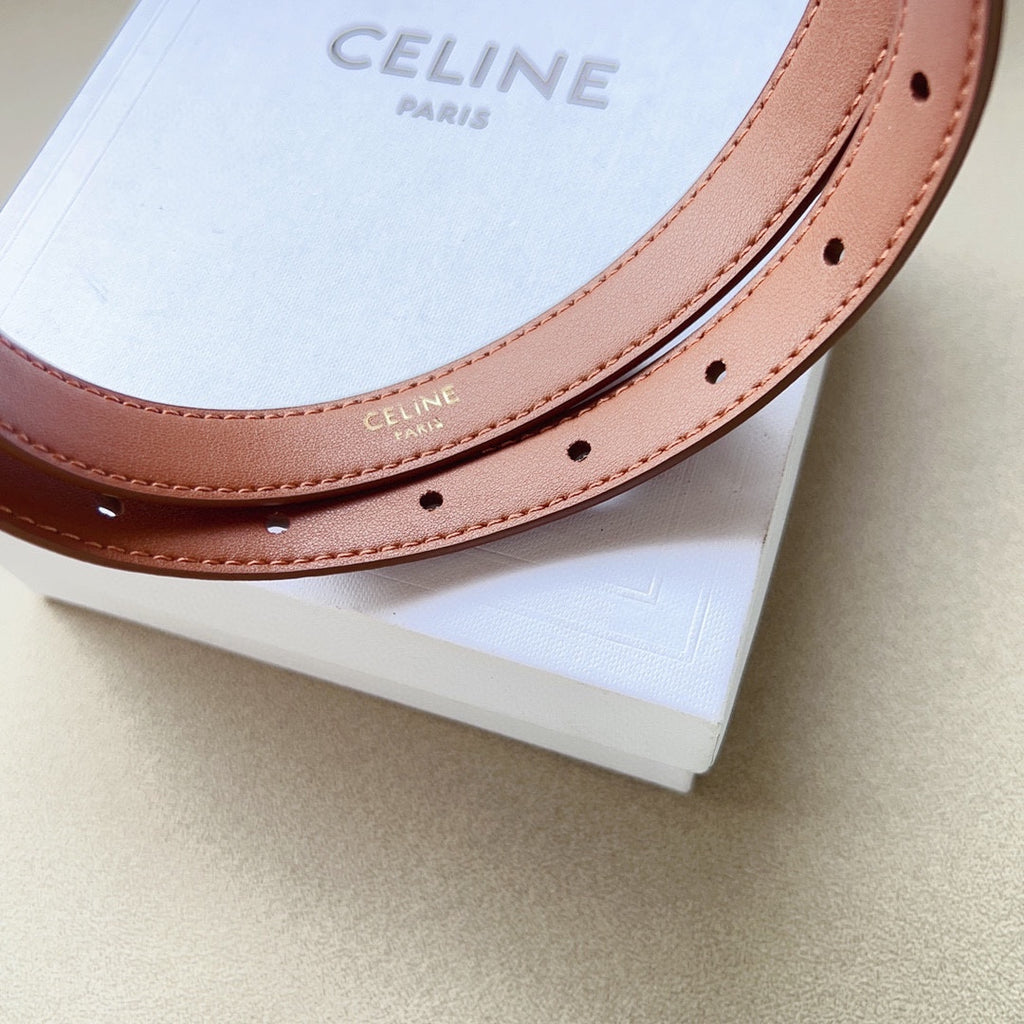 1WN178P Popular High quality belt With full package