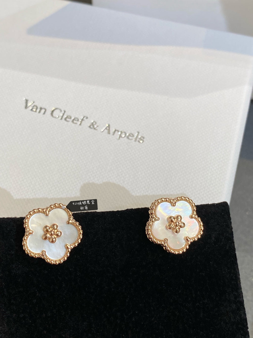 55ZVA21E Popular Earrings