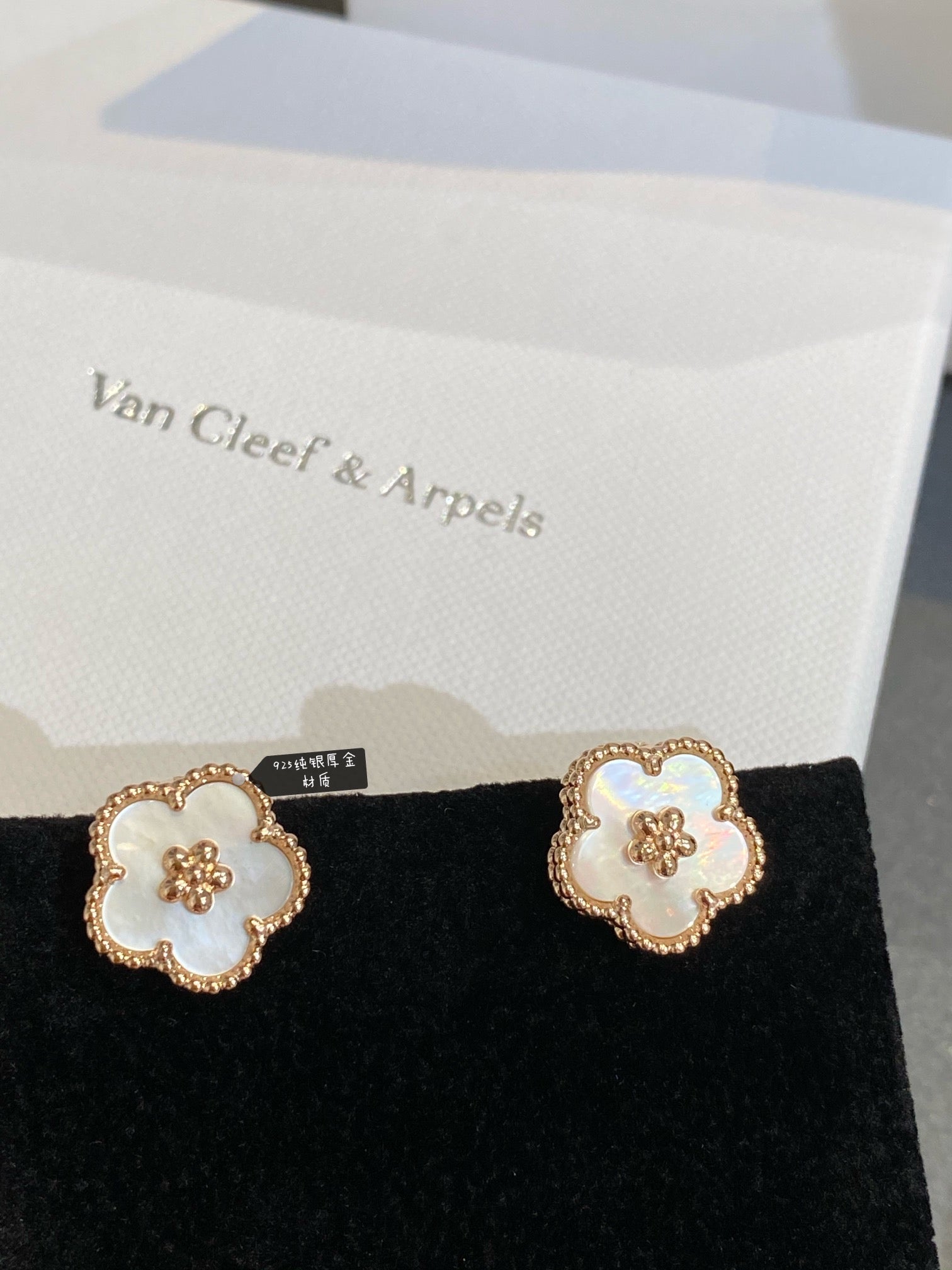 55ZVA21E Popular Earrings