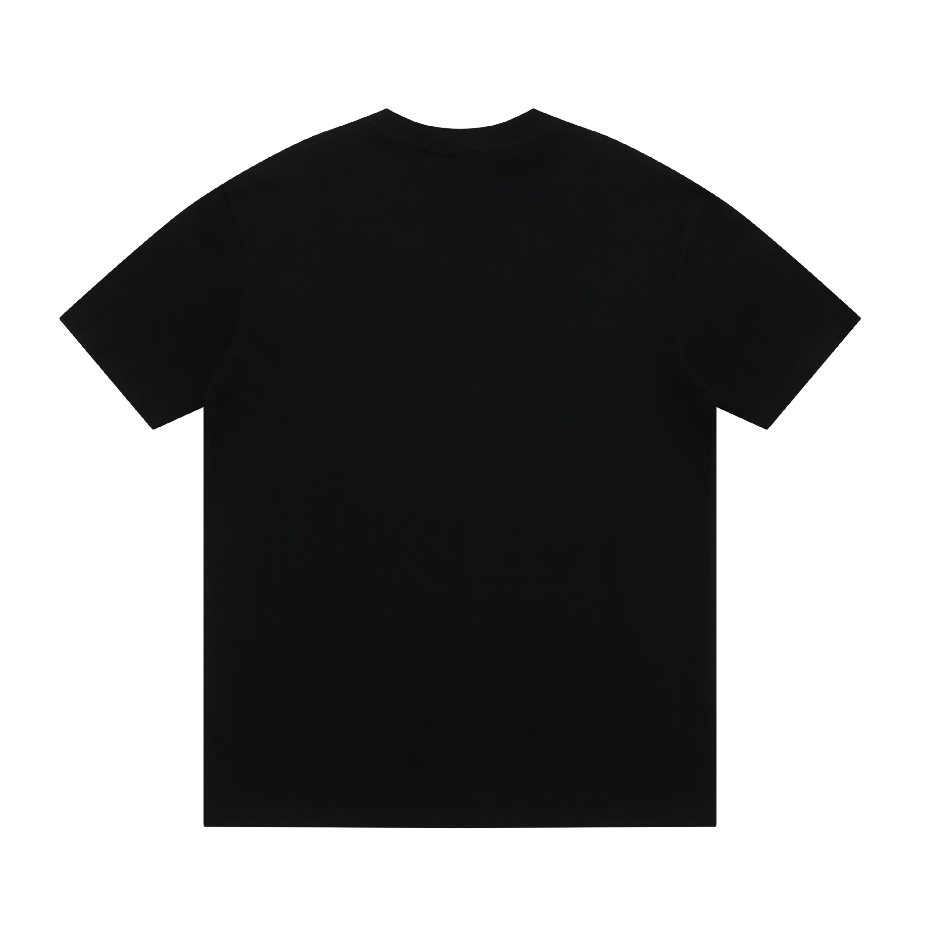 145RVL189U Popular T-shirt