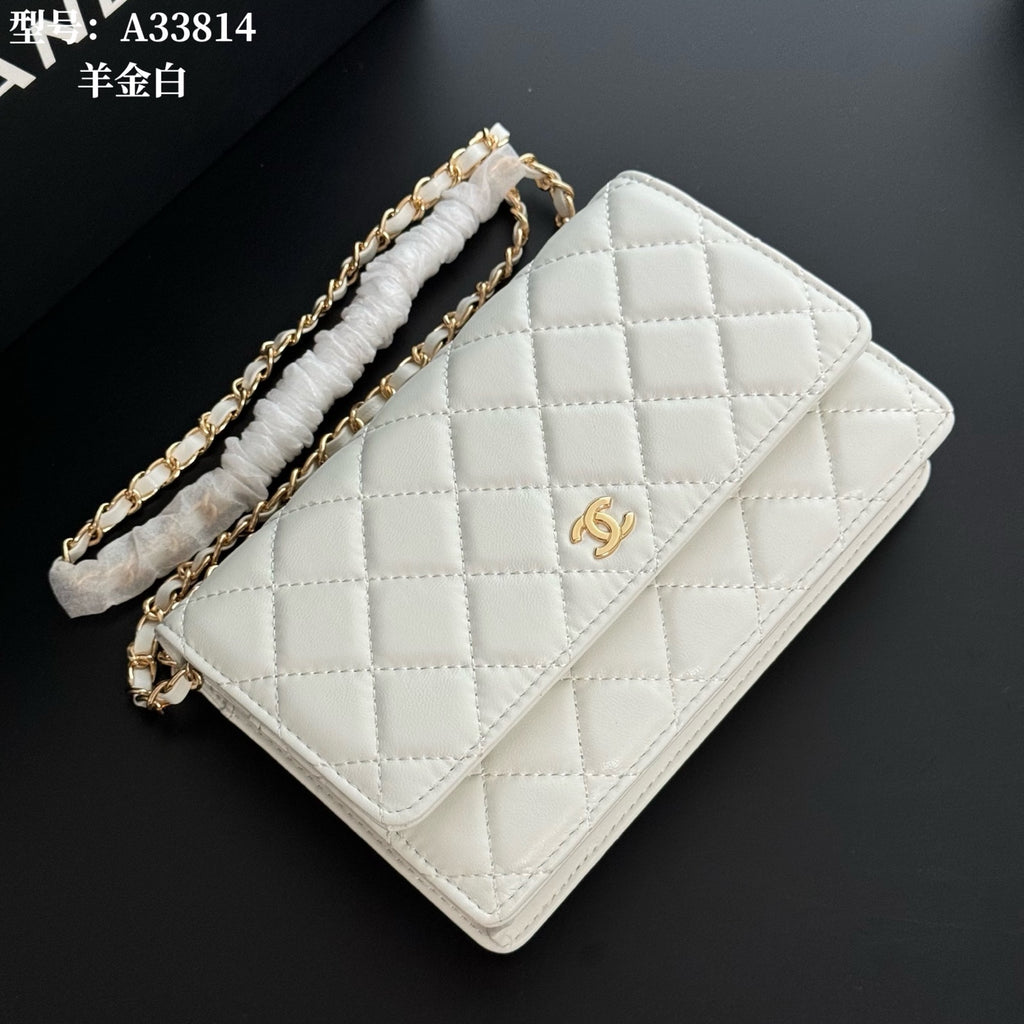 B1X66C17 Popular leather bag