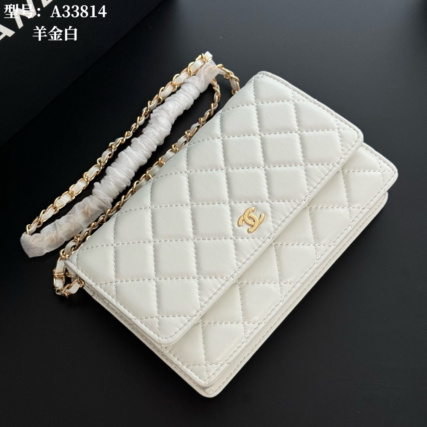 B1X66C17 Popular leather bag