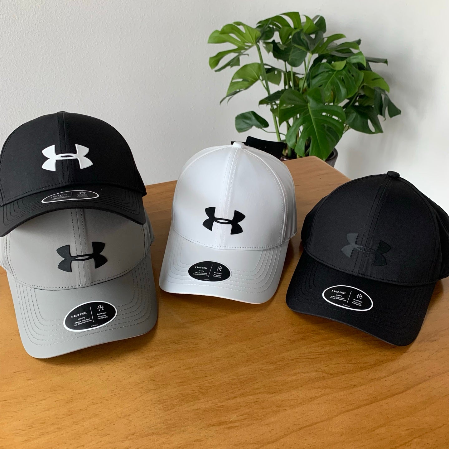 145ZA538M Popular  hats
