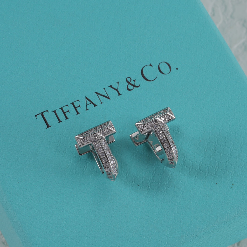 15NT2E  Popular Earrings