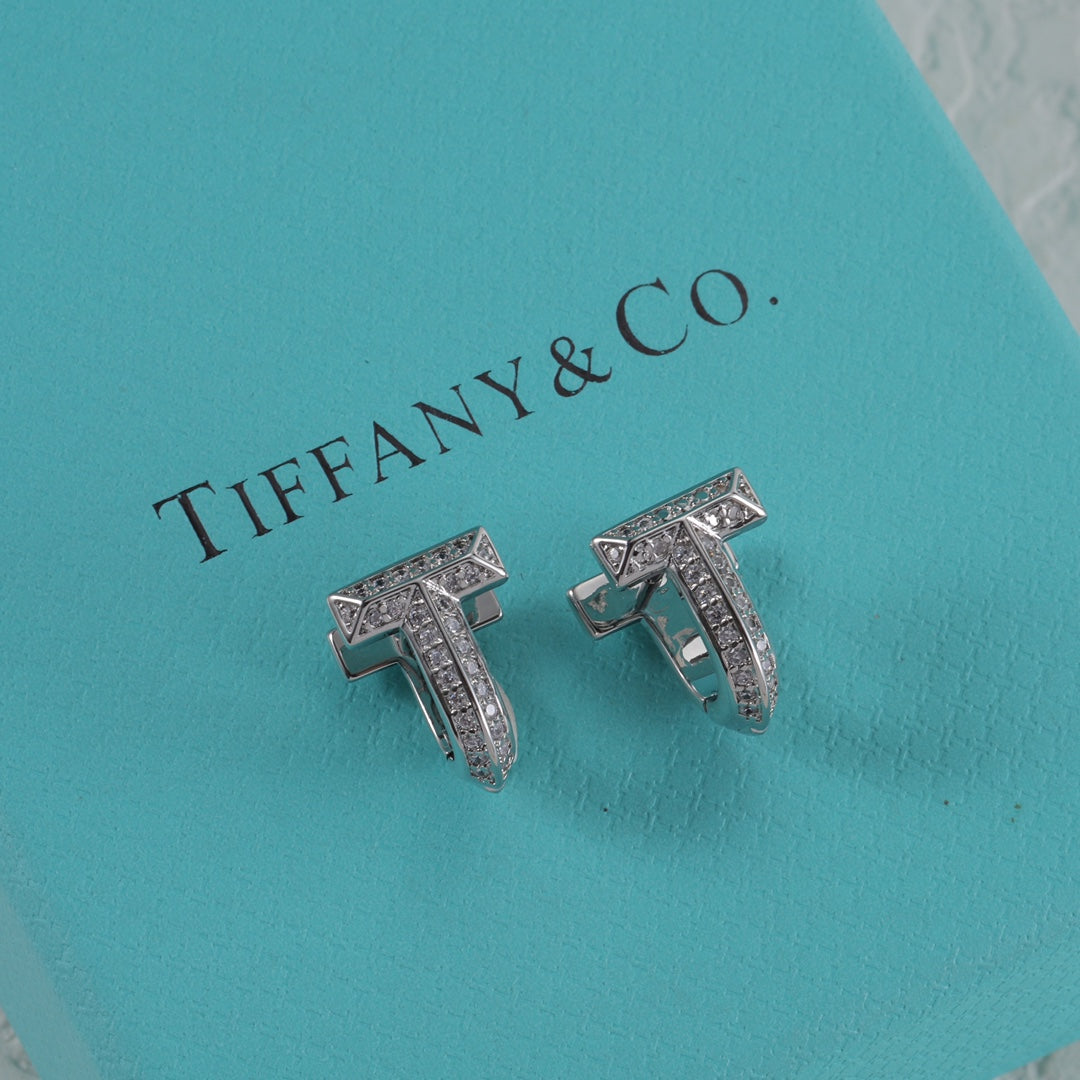 15NT2E  Popular Earrings