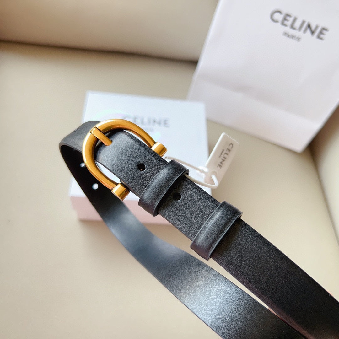 1WN178P Popular High quality belt With full package