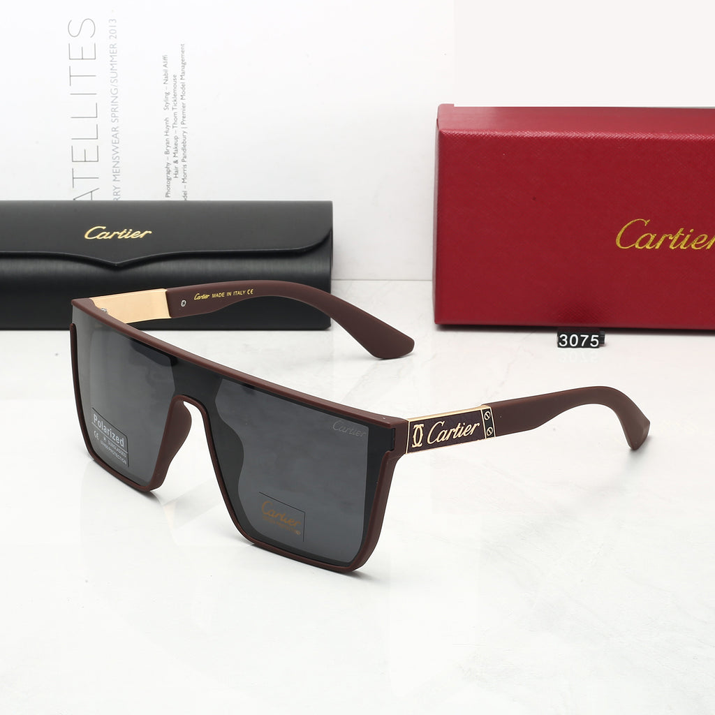 146RK17T Popular Sunglasses