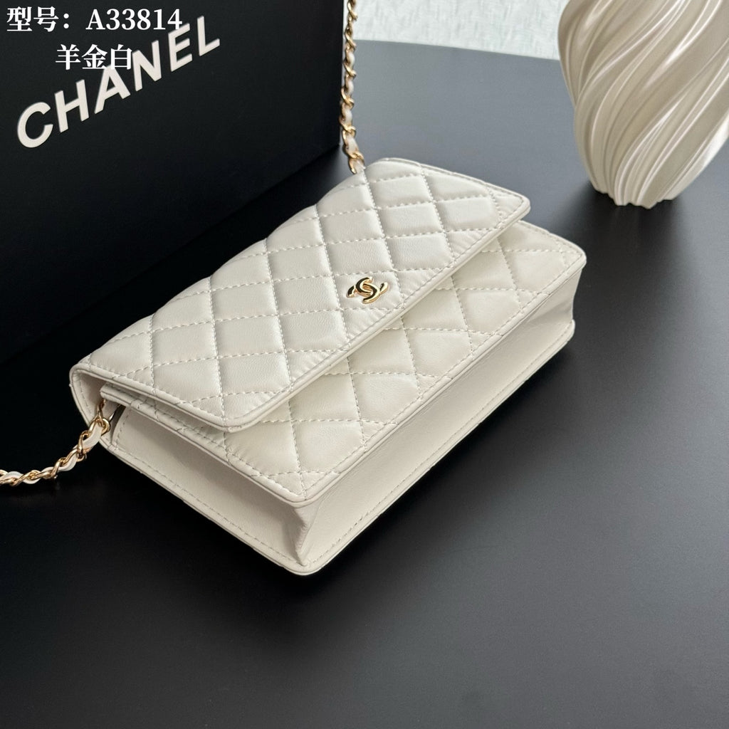 B1X66C17 Popular leather bag
