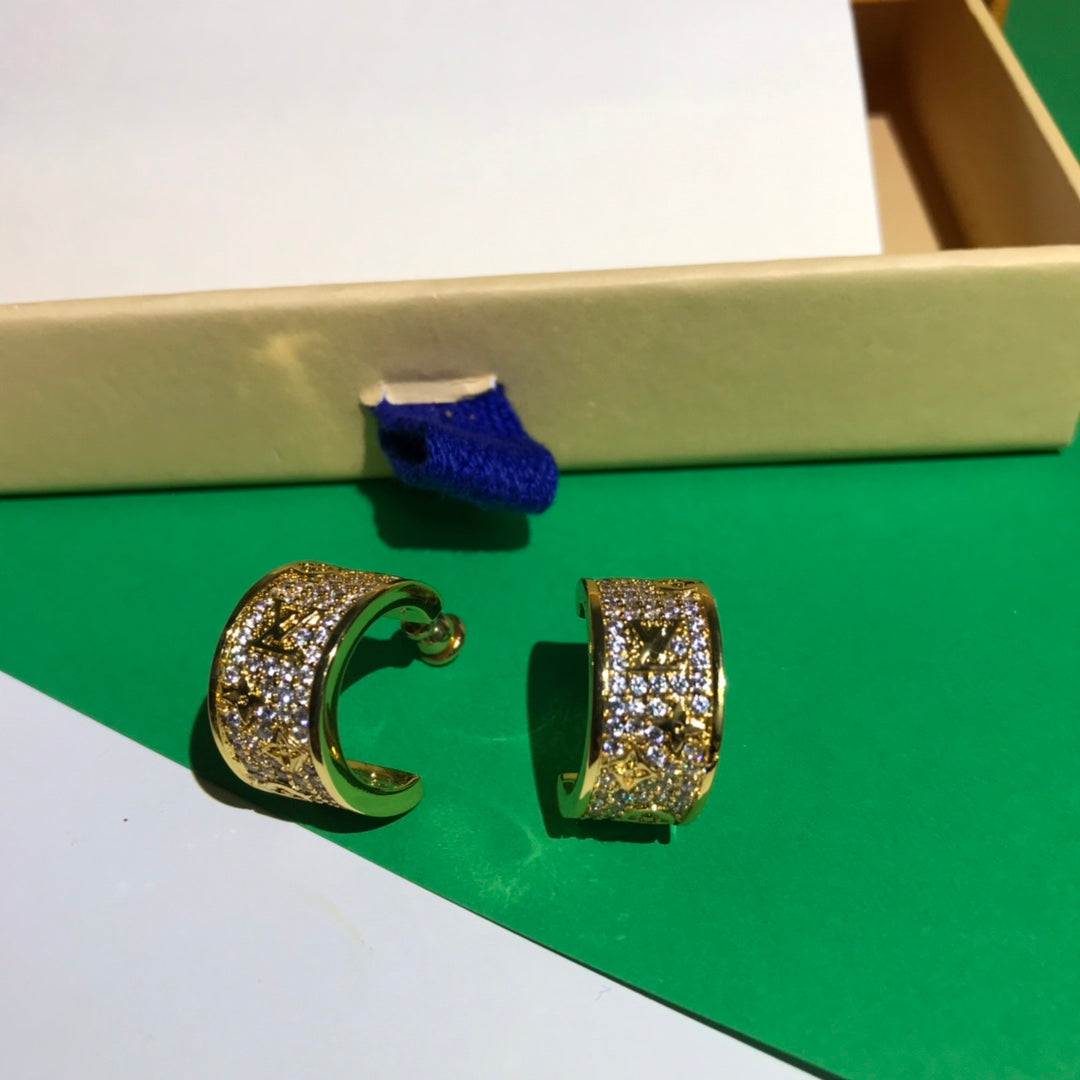 1YE351E Popular  Earrings