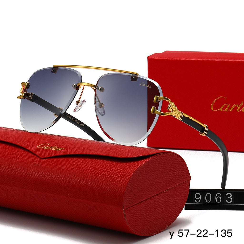 136NK55T Popular Sunglasses