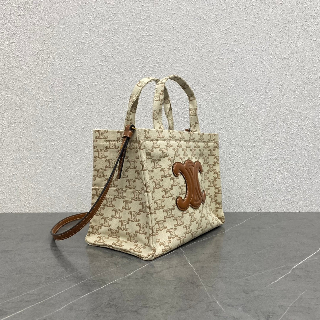 175RCL6B Popular  Canvas handbag