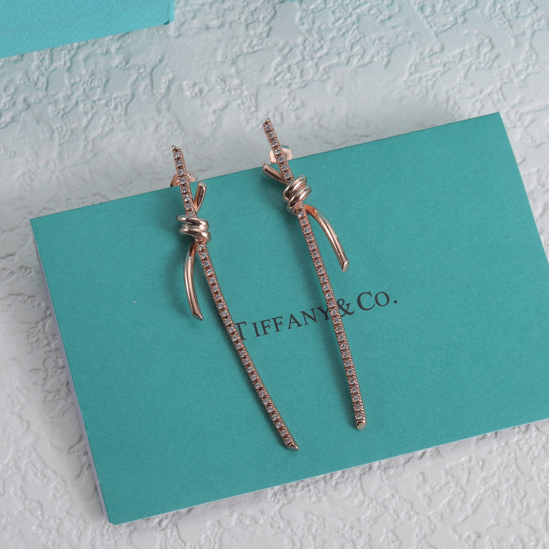 14T295E Popular  Earrings