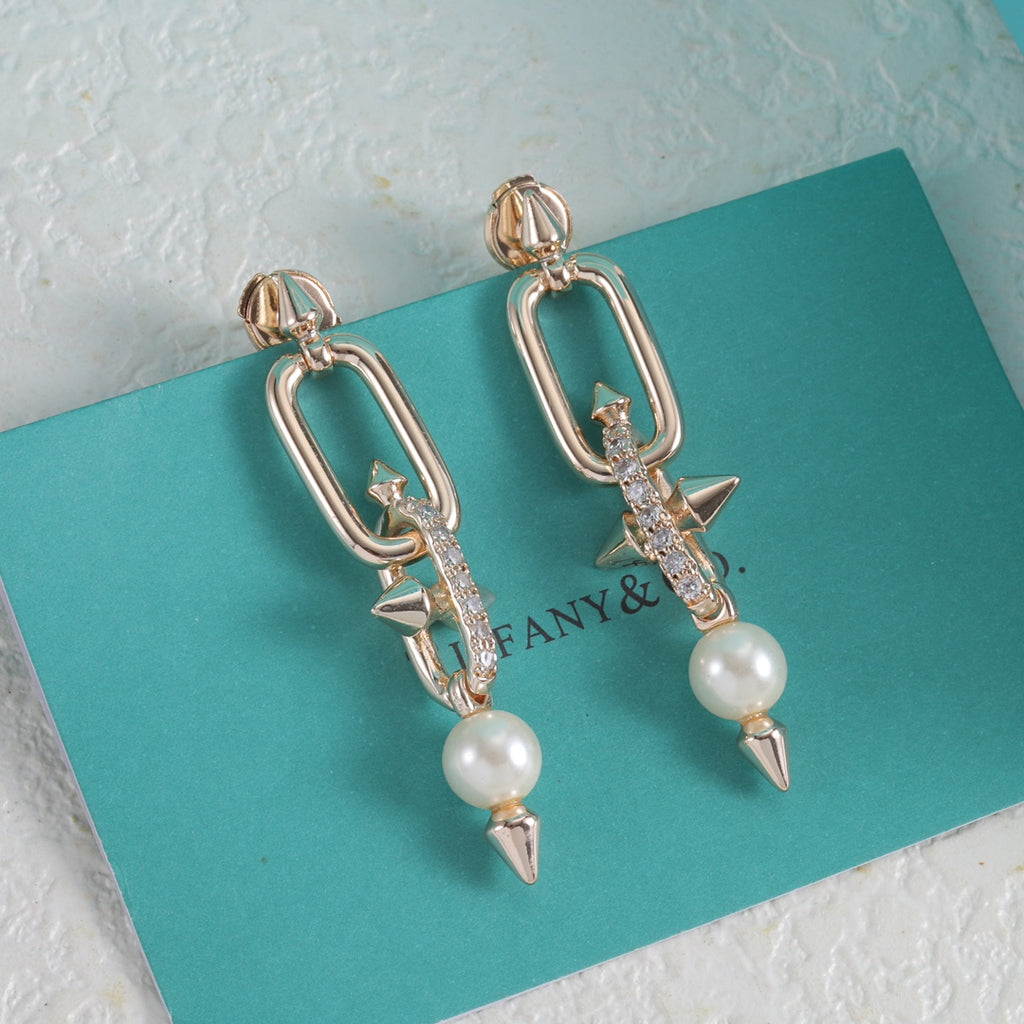 15ZT83E Popular Earrings