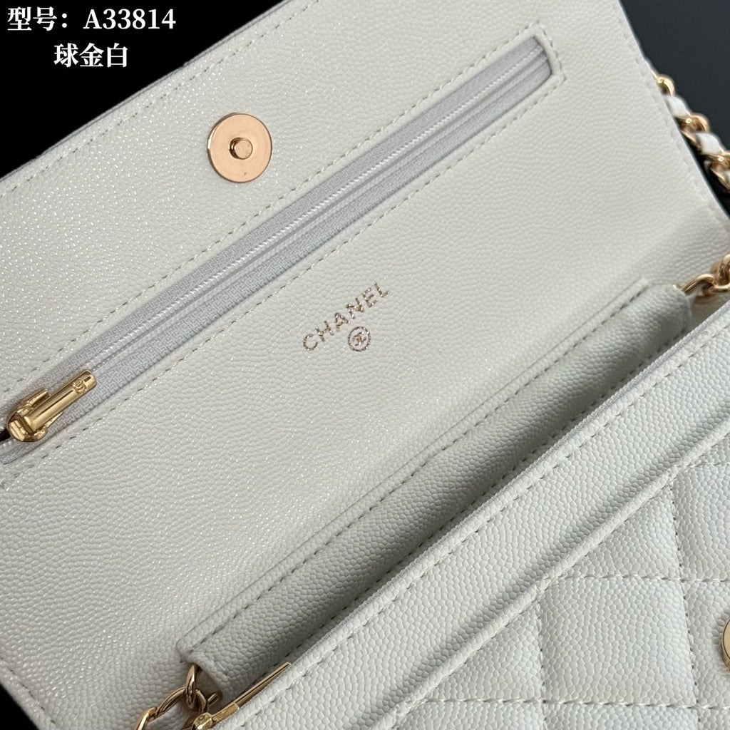 B1X66C17 Popular leather bag