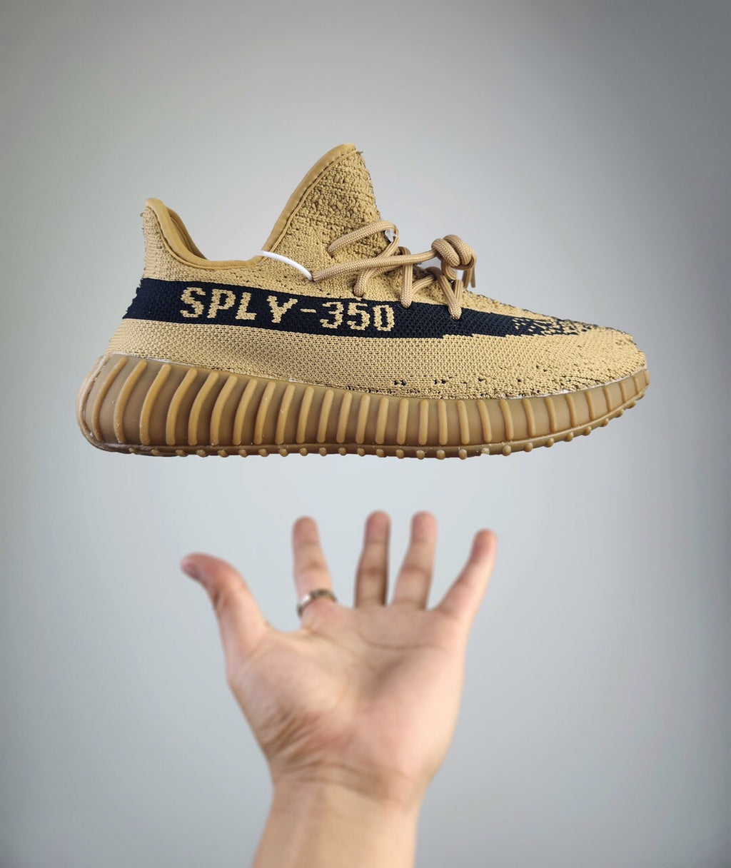 445ZA92Z Popular shoes (No box)