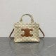 175RCL6B Popular  Canvas handbag
