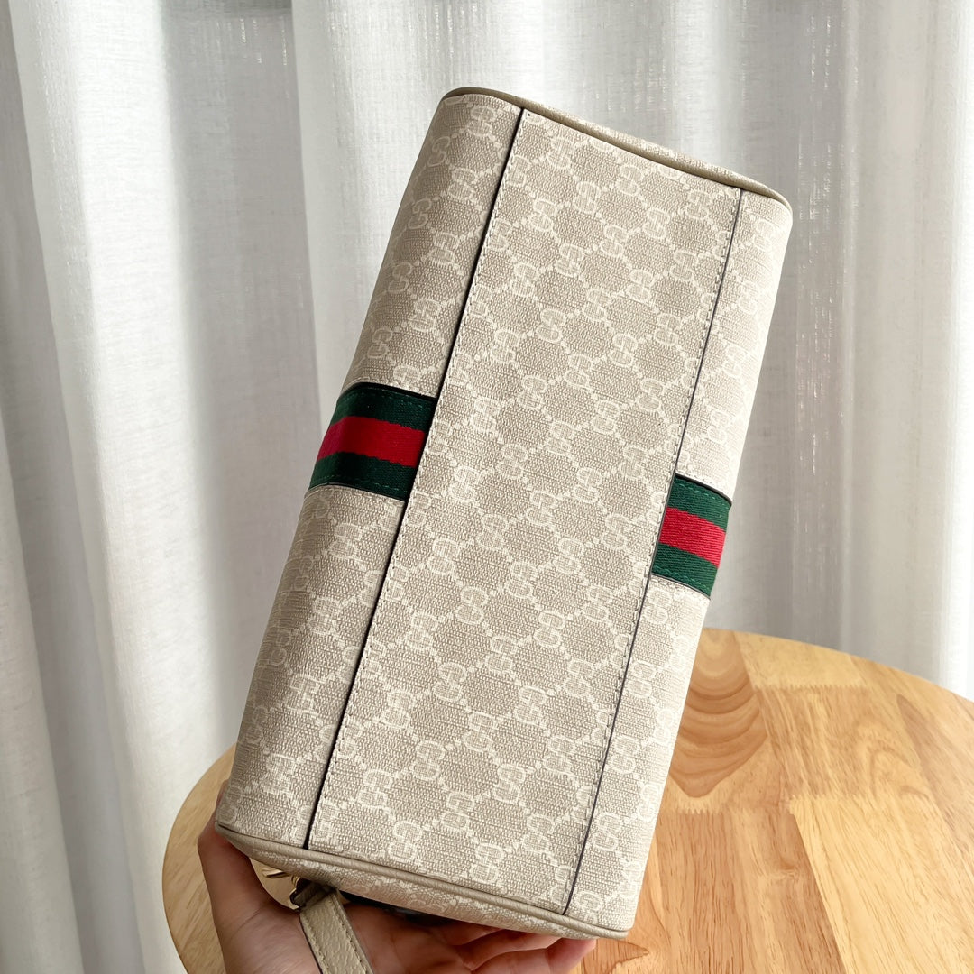 1WB60B Popular  leather bag