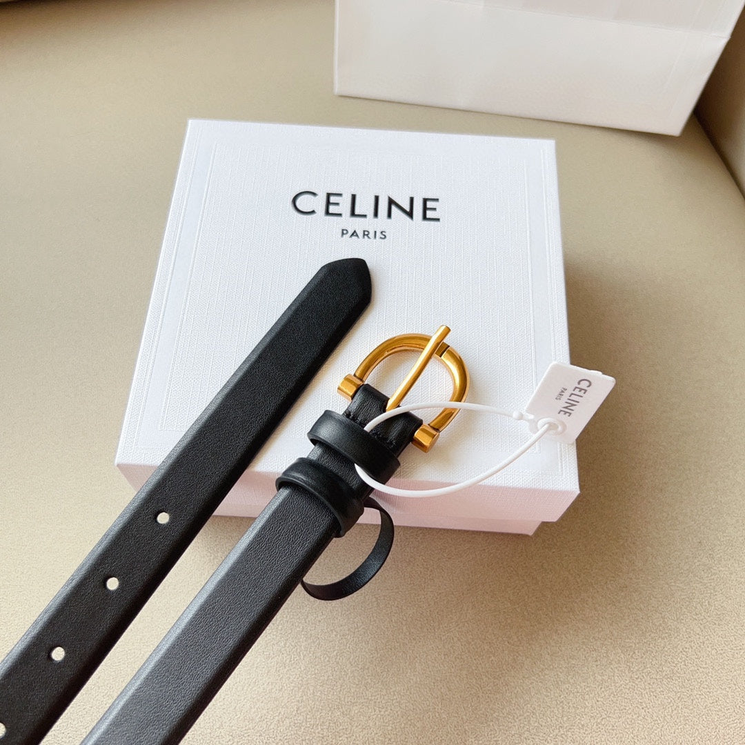 1WN178P Popular High quality belt With full package