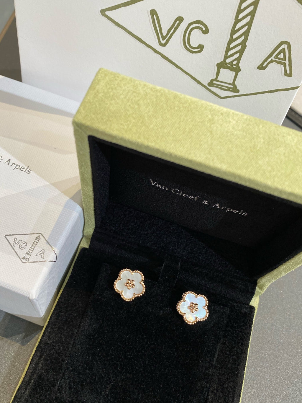 55ZVA21E Popular Earrings