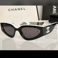 156XC3T Popular Sunglasses