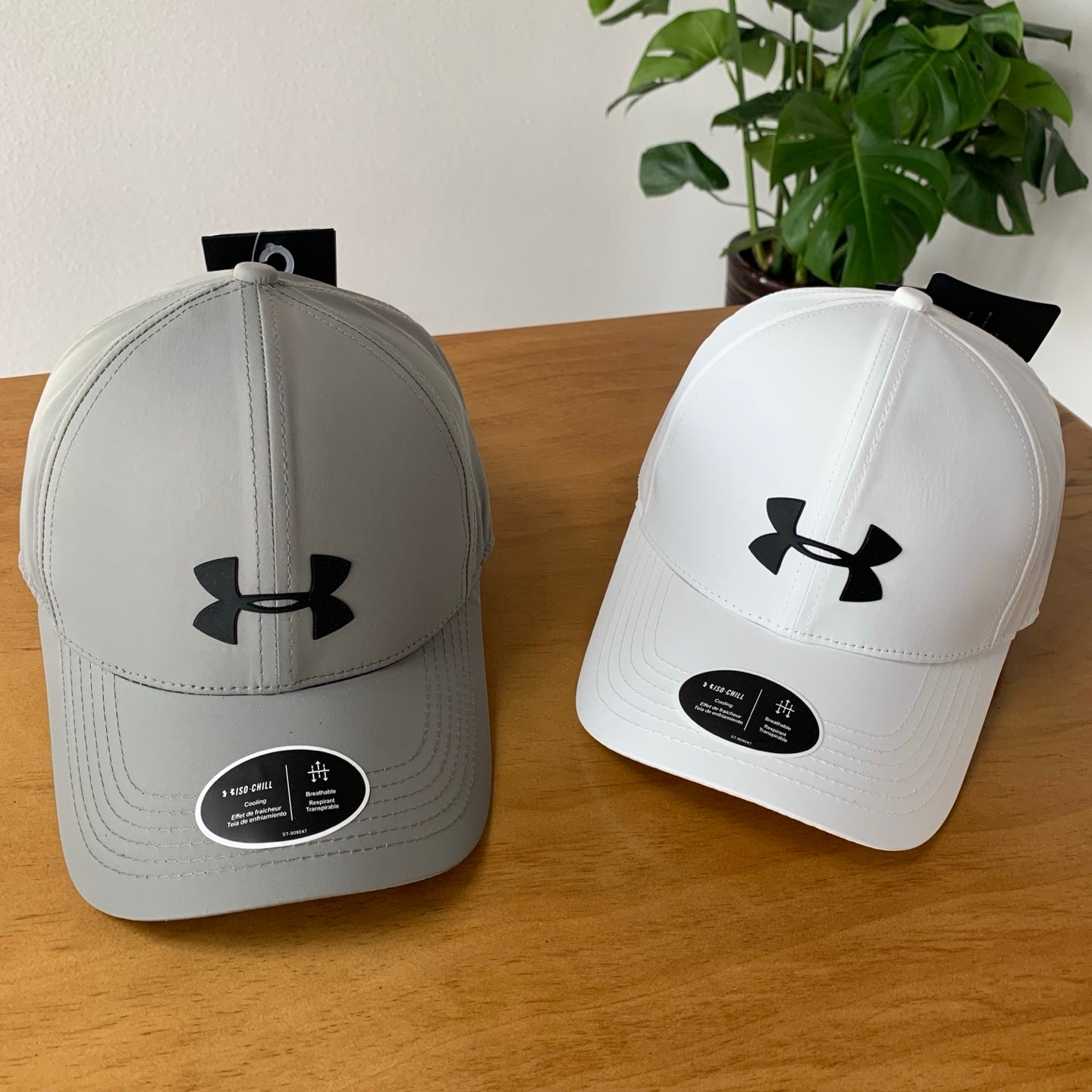 145ZA538M Popular  hats