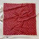 136NA14W Popular Silk Scarve