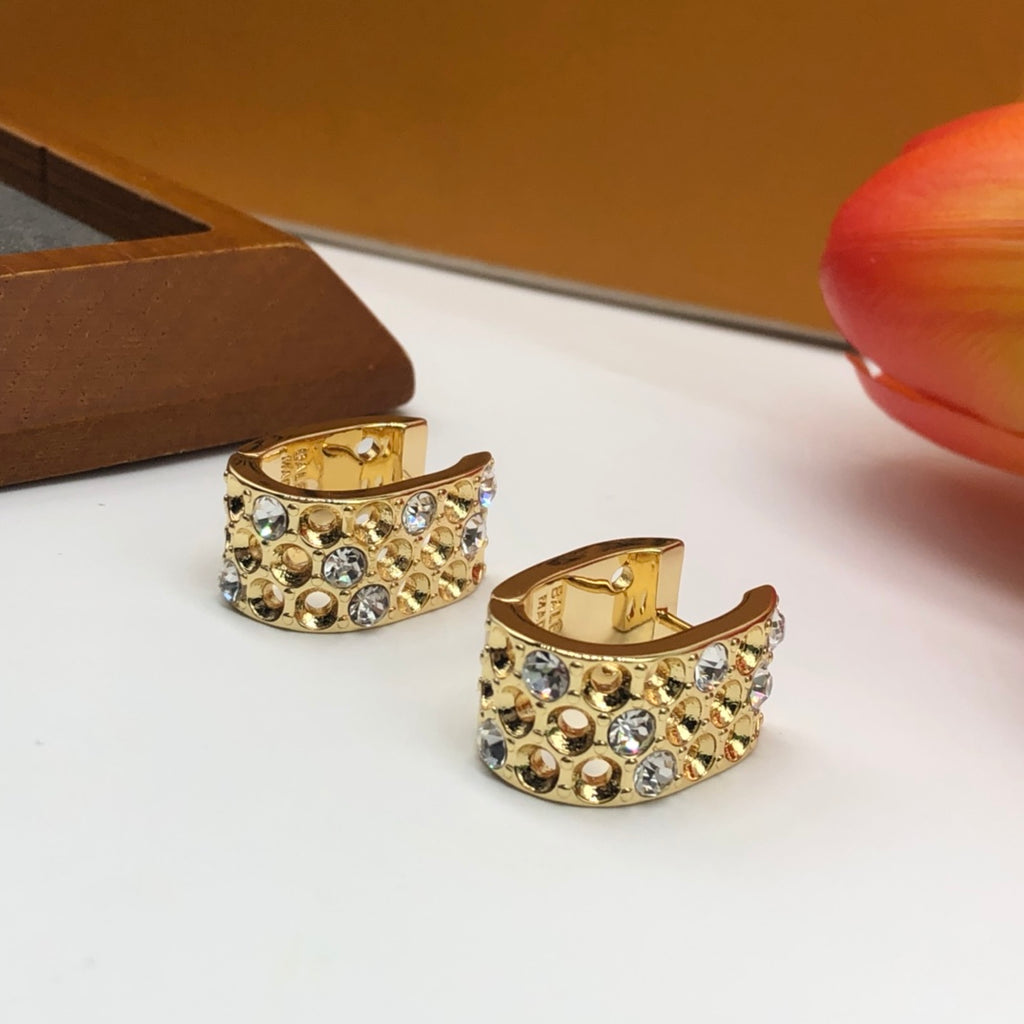 14J126E Popular  Earrings