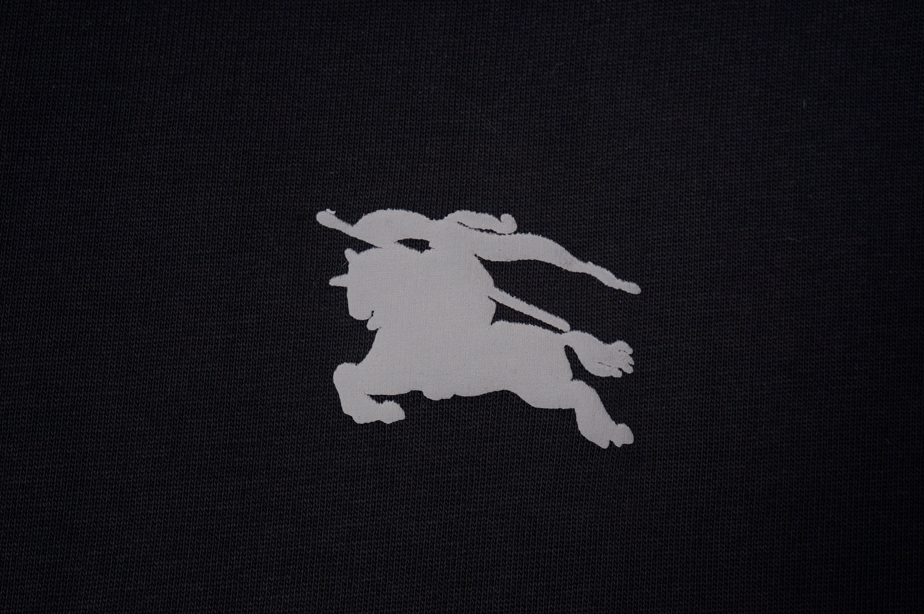 145RR206U Popular T-shirt