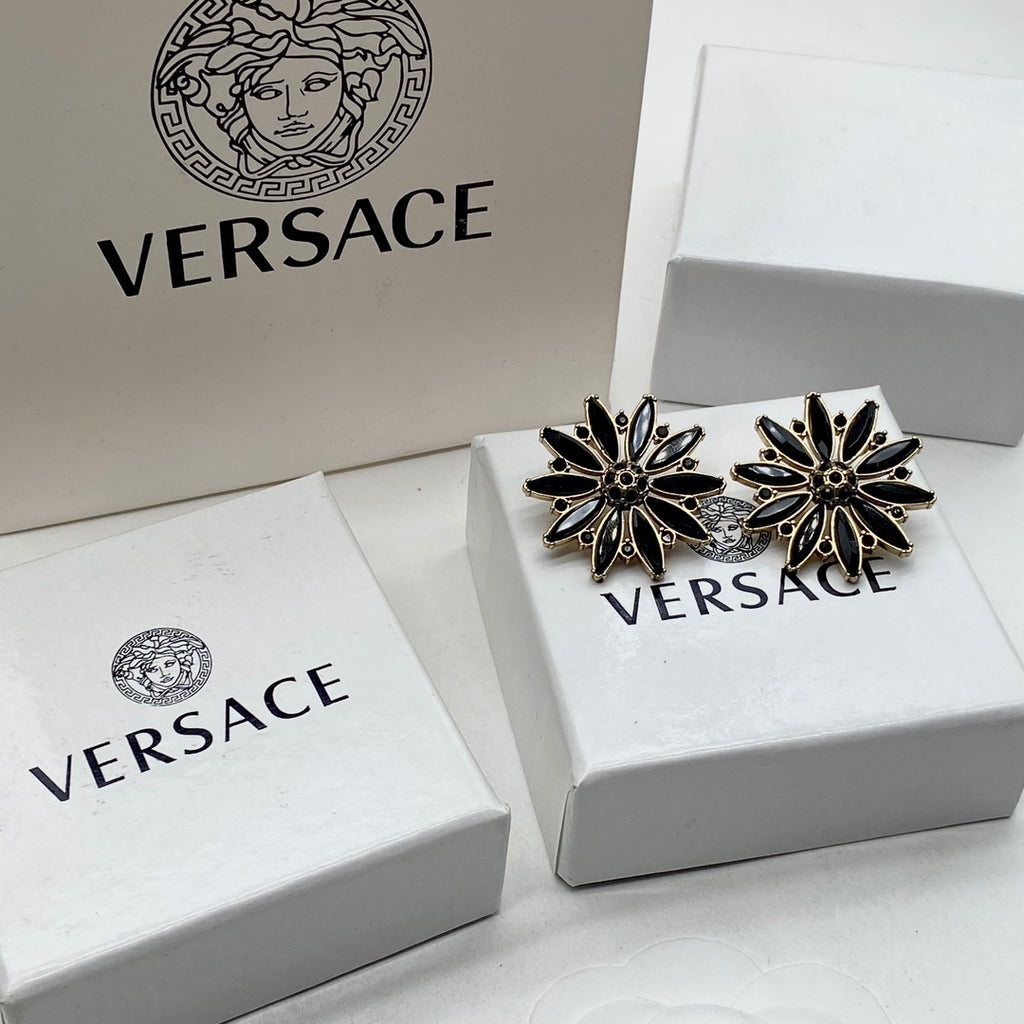 14V538E Popular  Earrings