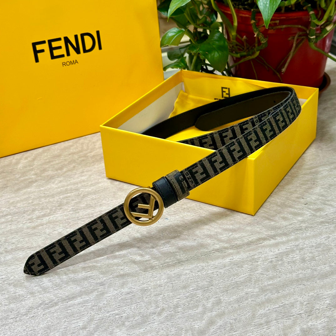 1WF176P Popular High quality belt With full package